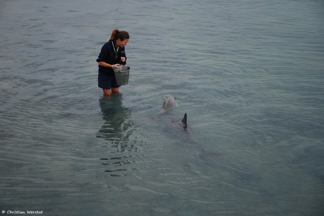 098