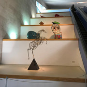 IMG-1570