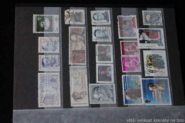 IMG-6804.jpg