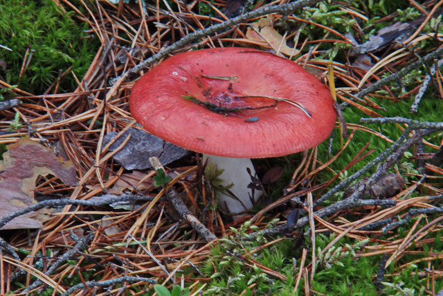 PA010153