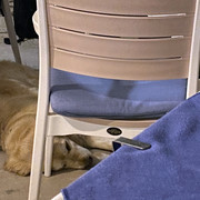 IMG-1526