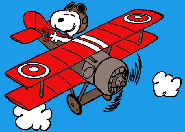 https://i.ibb.co/kQWKd3N/peanuts-9-scaled.jpg