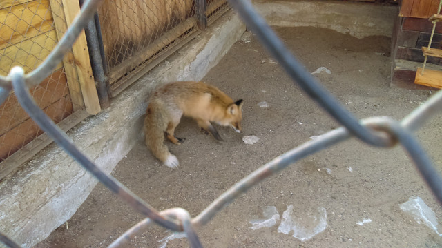 IMAG0976