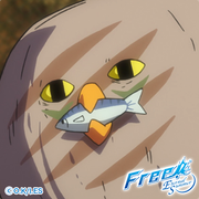 iwatobi-1