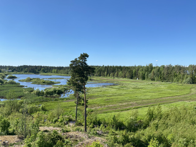 DB7540-CF-BAF8-421-C-A126-5-D29-EC106-A1