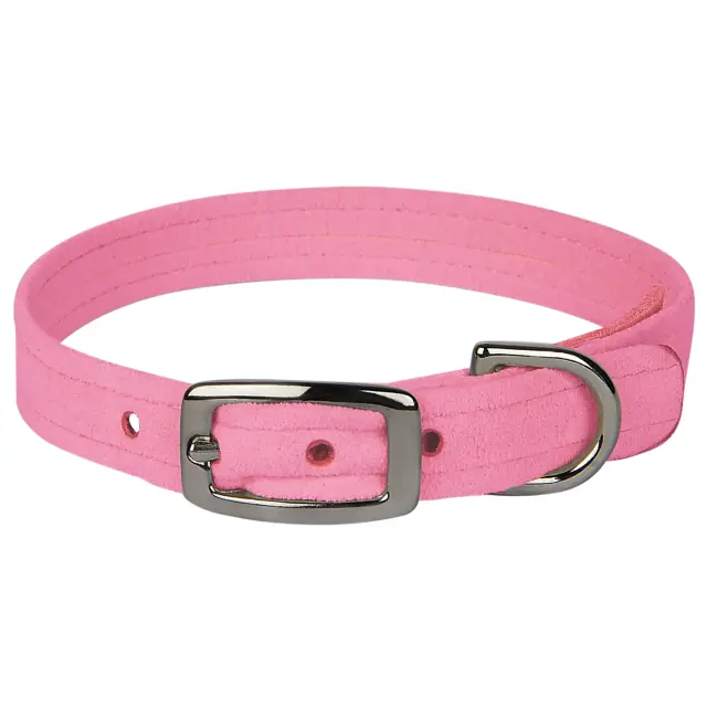 Perfect-Pink-Collar-BK