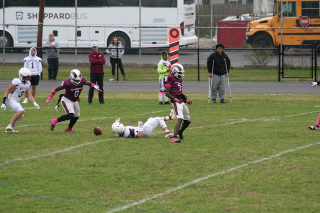 IMG-0313.jpg