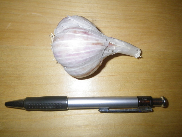 IMGP0412
