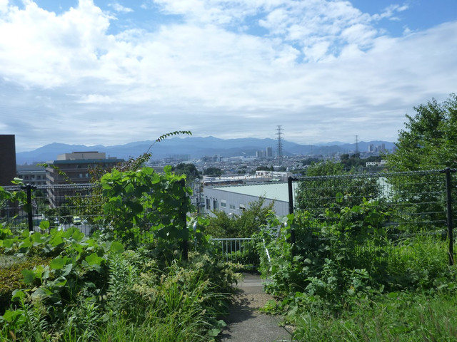P1350292