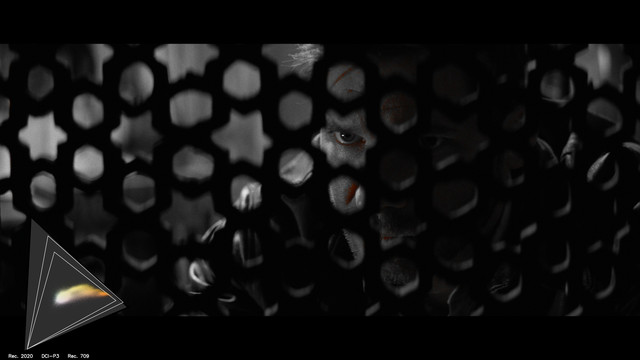 gamut-RAID0281
