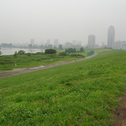2010-07-01-076