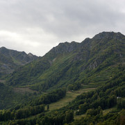 DSC7175