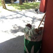 IMG-7244