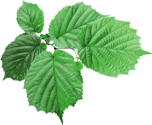 580b585b2edbce24c47b26d5-1.png