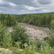 IMG 5831