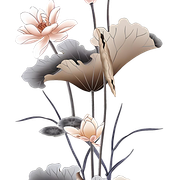 cbe41ca8f9ffa9557d6a11bfbeb0c4d6