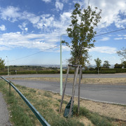 IMG 3352