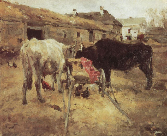 Волы 1885