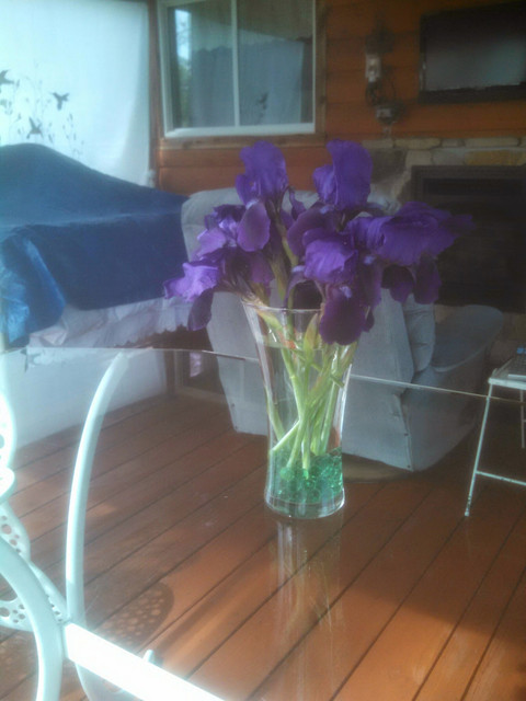 IMG 20150412 113801 059