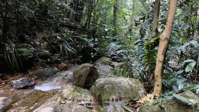 Gunung Lambak2.webp