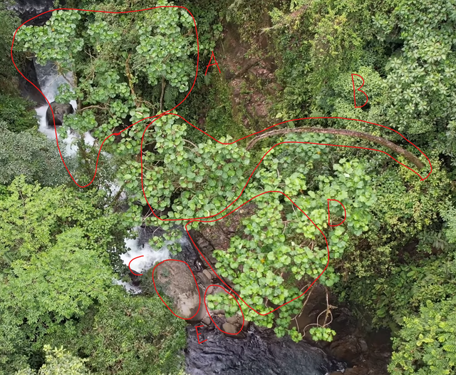 downstream trace