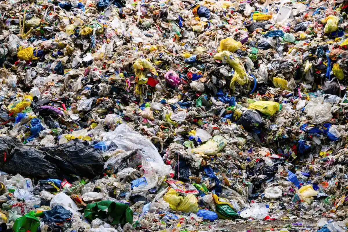 Quiet Surge: The Growing Threat of Plastic Waste