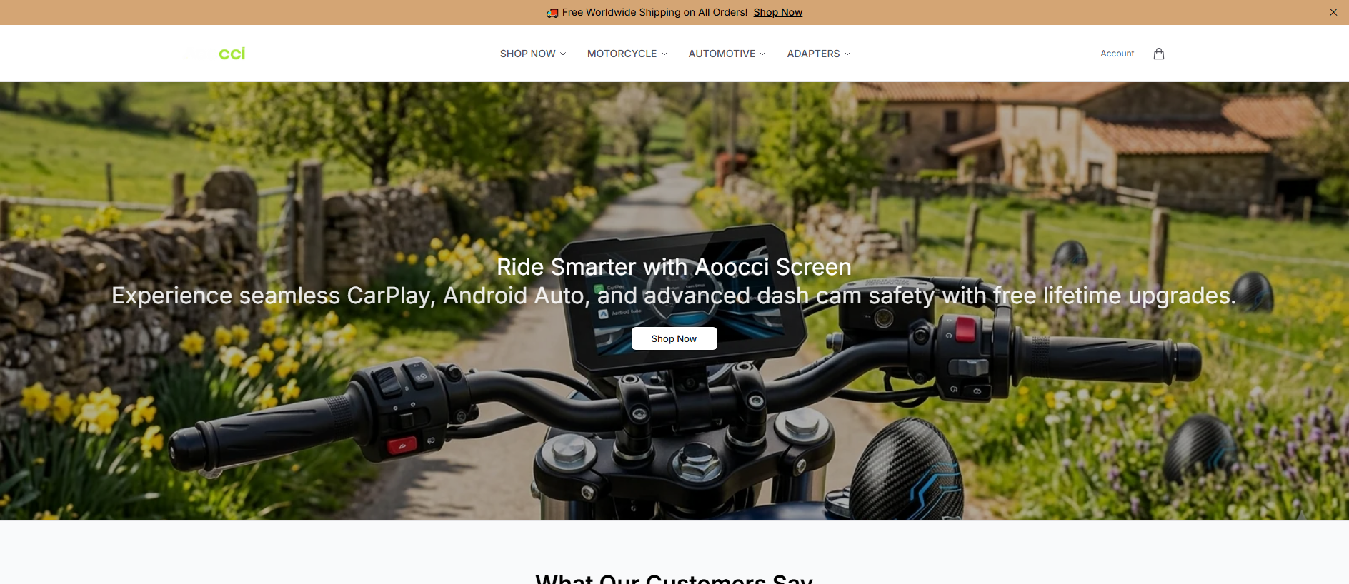 Stored capture of aooccimotors.shop