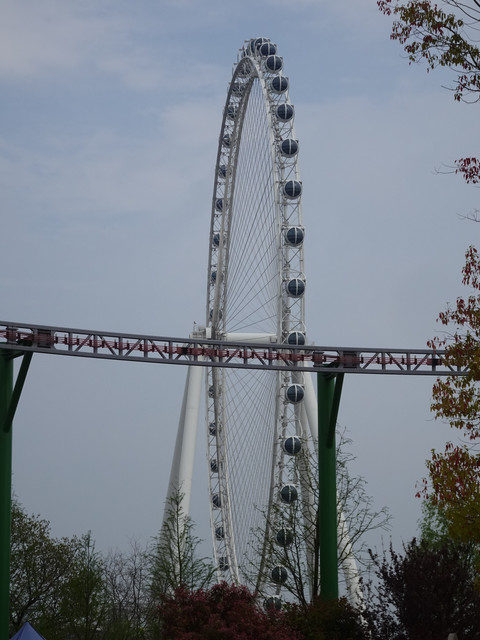 DSC08957.jpg