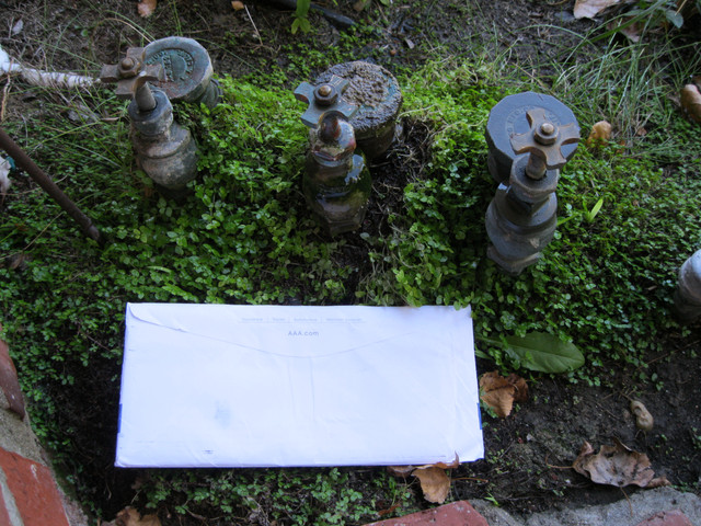 IMG-0254