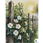 https://i.ibb.co/kV7TB5KW/image-39.png