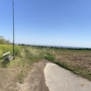IMG-9363