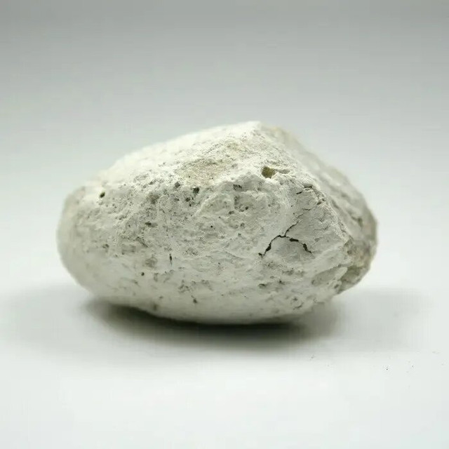 scale 1200.jpg