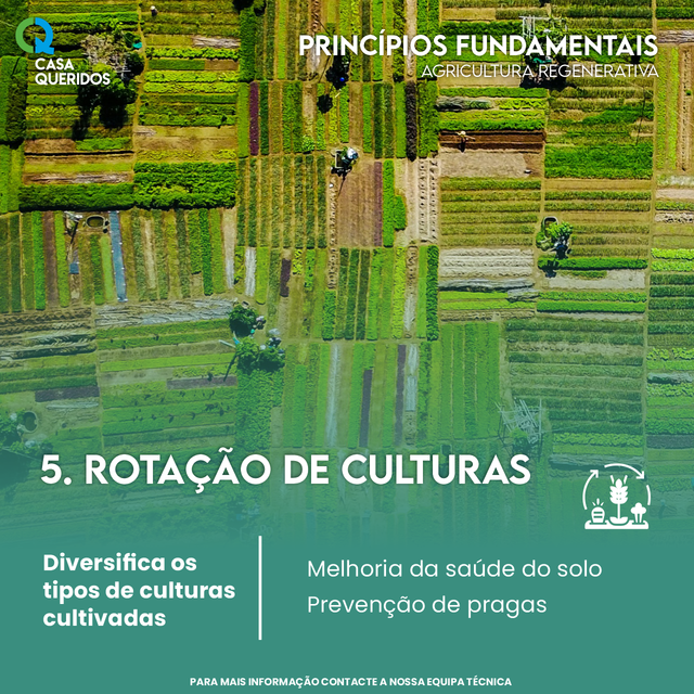 Rota��o de Culturas