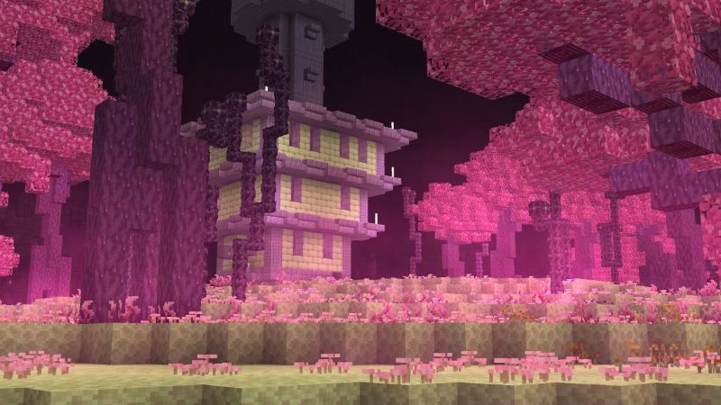 Image 11