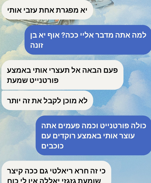 13329481