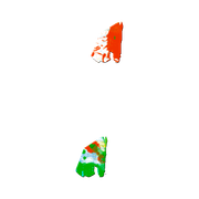 26 556976