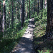 IMG 0357