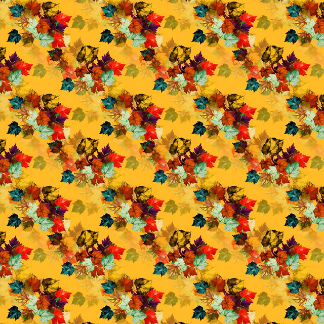 shutterstock 2453663253.jpg