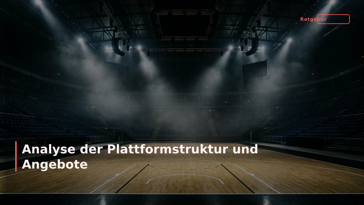 Analyse der Plattformstruktur und Angebote