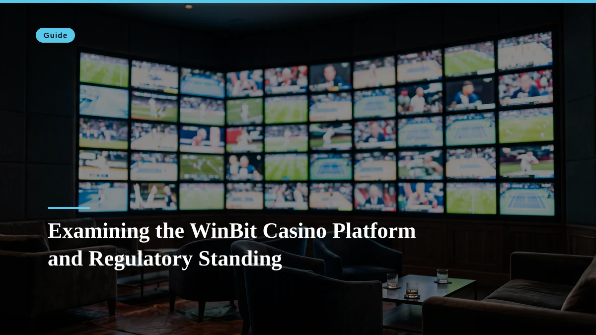 Examining the WinBit Casino Platform and Regulatory Standing