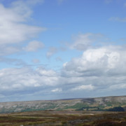 DSCF0175