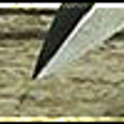 Albion annals headers middle
