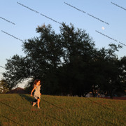 IMG 6243