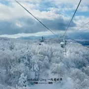 藏王树冰3