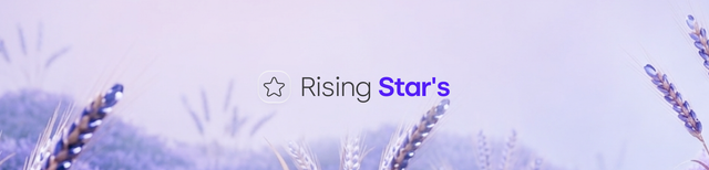 Seasons Gitbook Rising Stars — Distribution Tier Hero PNG.png
