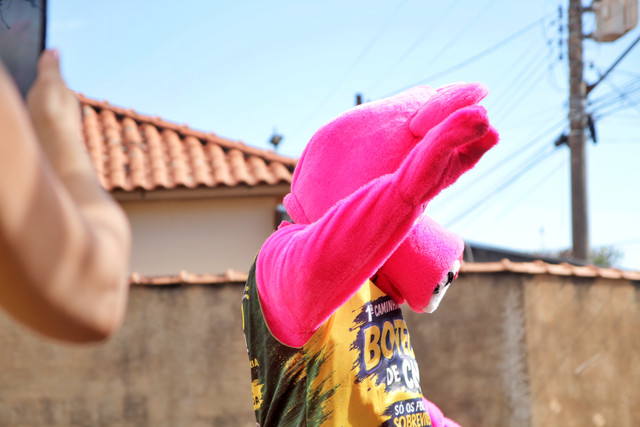 IMG 7041.jpg