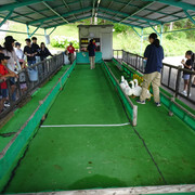 DSC03750
