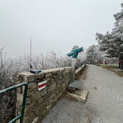 IMG-3823