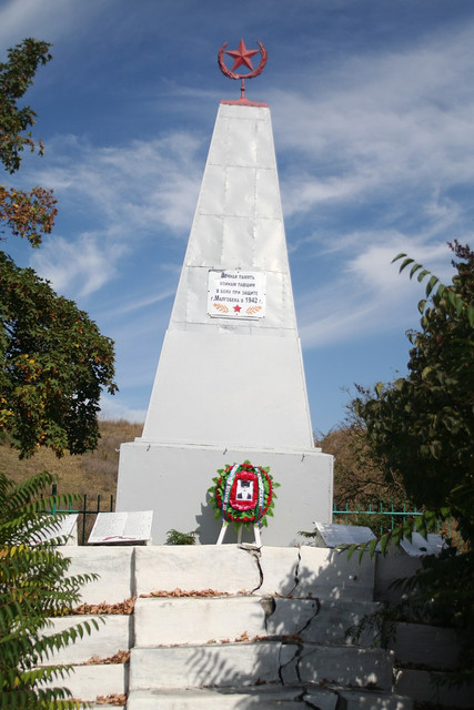 https://i.ibb.co/kVV4HSgx/image.jpg