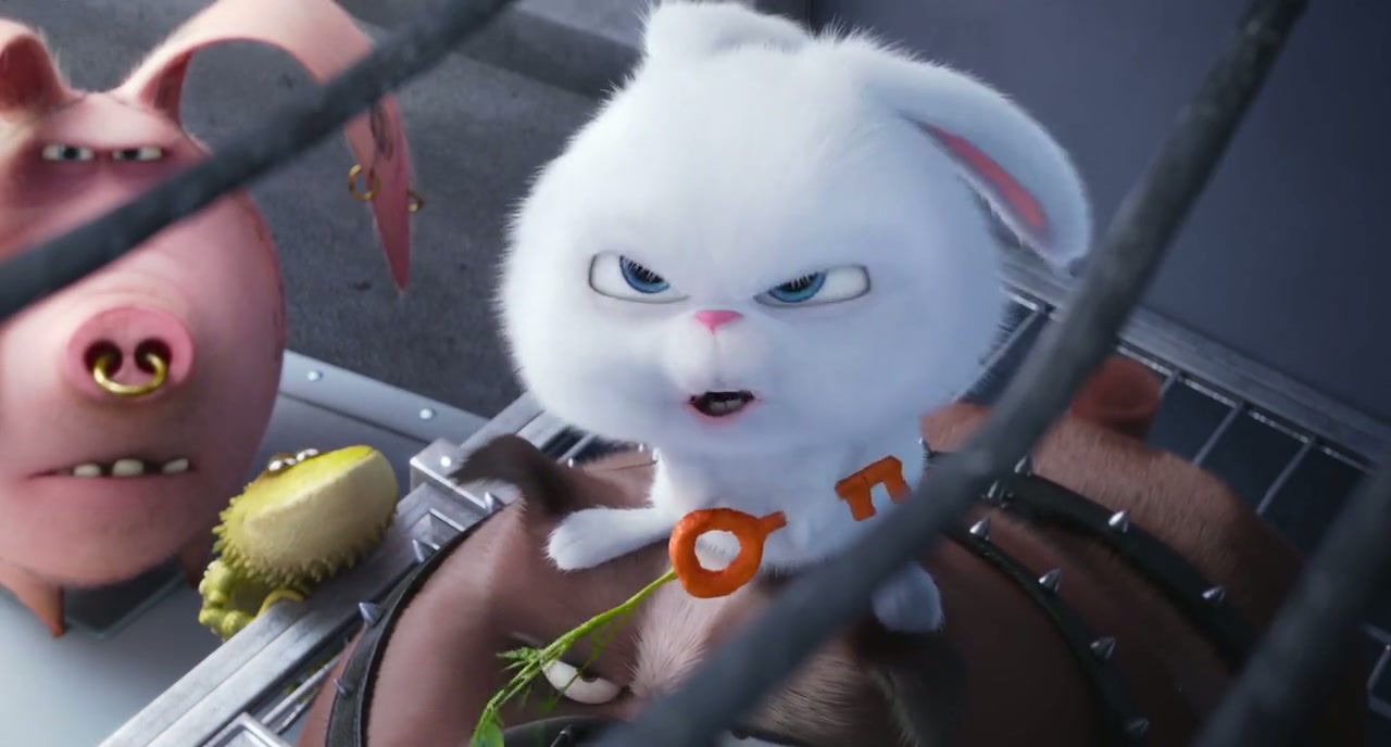The Secret Life of Pets Screenshot